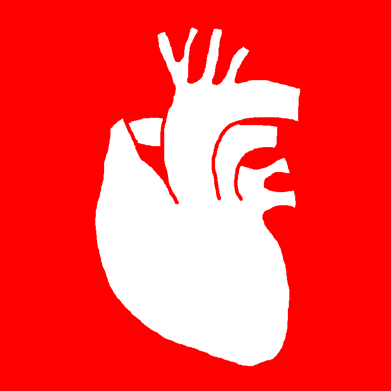 Dr. Victor Clementoni Cirurgia Cardiovascular